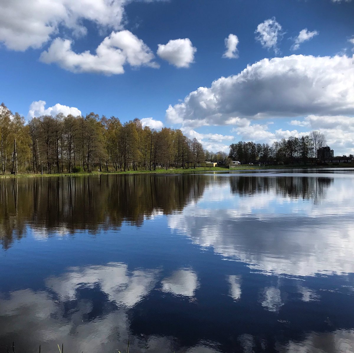 SvenskVagguide's tweet photo. #Dagensfoto #vacker #sommardag i #Skåne 🌞 https://t.co/l06TE2u9a2