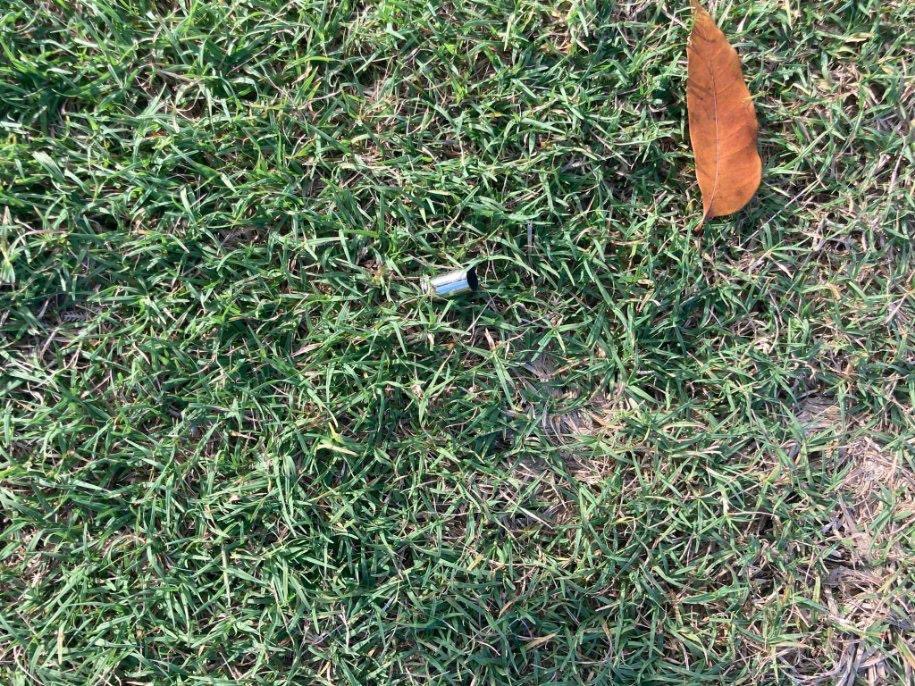 DavidBegnaud's tweet image. NEW: The Puerto Rico resident who shot &amp;amp; killed a dog on a golf course on the island IS licensed to carry on the island, according to a police spokeswoman.  The suspect, @SalilZaveri has reportedly said the dog was trying to attack him. Eyewitnesses told police: that’s not true.