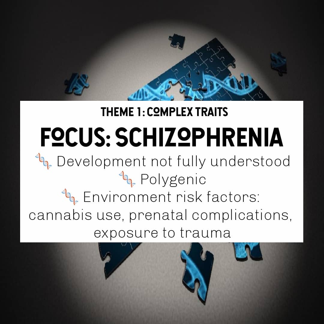 Theme 1: Complex Traits introduction

#definition #examples #Schizophrenia #complextraits #themeofthemonth #genetics #genes #peeringintothegenepool #geneticists #humangenetics #science #communication #blog #biology #education #learning #scicom #scienceblog