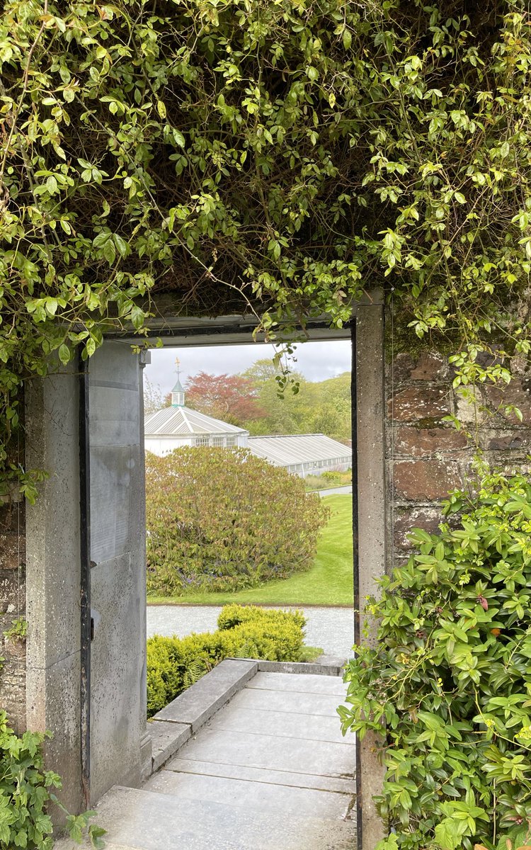 MarketingMeraki's tweet photo. On my doorstep 🌸🌸 
...a very special place.
When I see a gate I think of the  quote, let your words pass between three gates. 

🌸True
🌸Necessary
🌸Kind

#3gates 
@mountcongreve @WaterfordCounci 
#magnolia 
#sundayafternoon #staylocal # https://t.co/UC1nzNi6wc