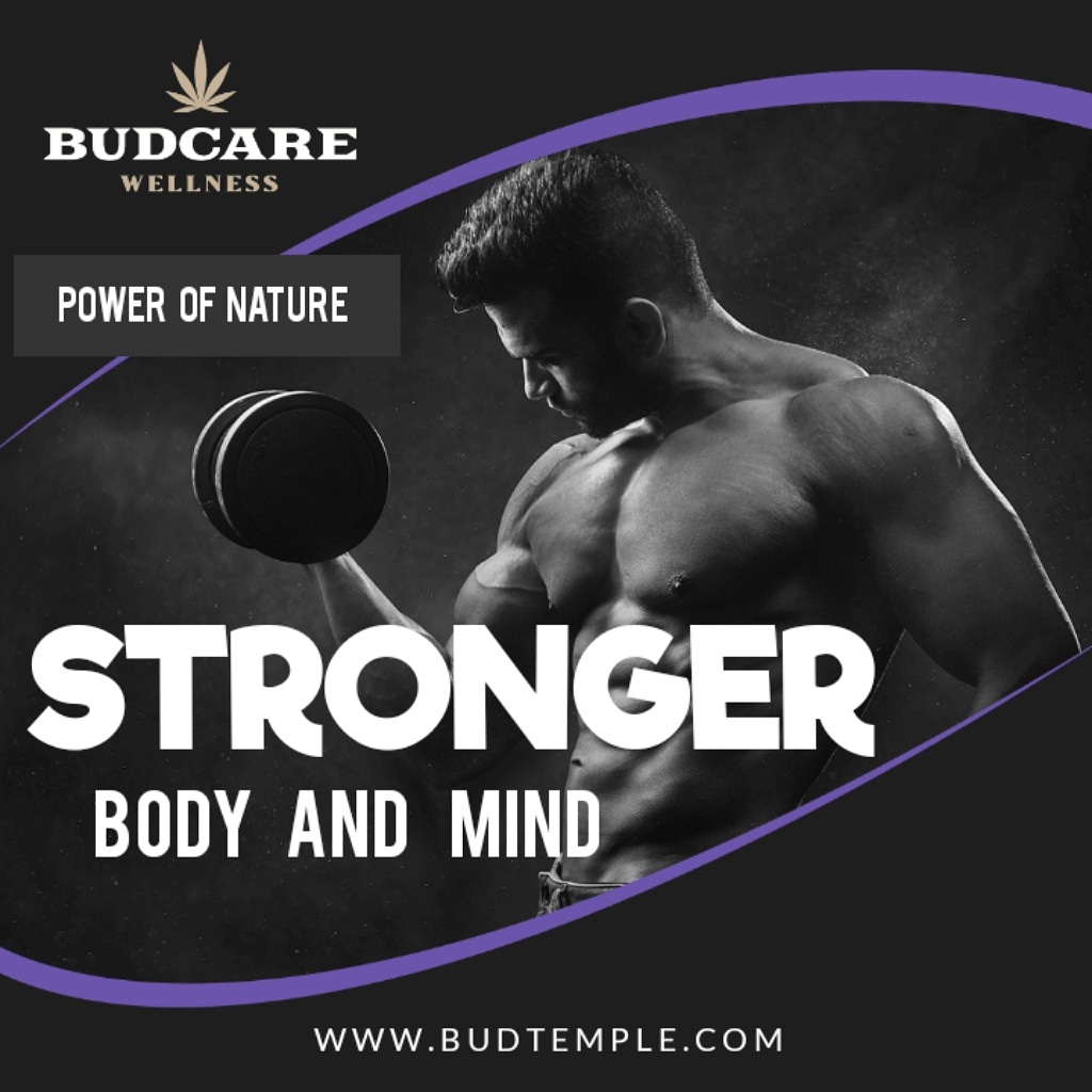 BudcareWellness's tweet photo. 🌿CBD🌿 For bodybuilders and fitness enthusiasts during high-intensity workouts and recovery periods.

#cbd #cbdoil #bodybuilding #muscle #wellness #fitness #musculação #gym #ginasio #mma #crossfit #athlete #treino #workout #recovery #gymlife #pain #photooftheday #portugal https://t.co/HNN7abyLP9