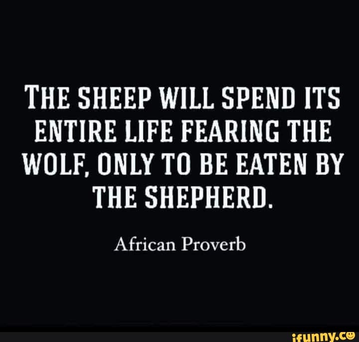 PLHeera's tweet image. This was the one @_LisaCherry .