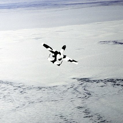 The last one-off experimental scheme here is an Arctic livery applied to s/n 80-0221 for testing out the viability of basing A-10s in Eielson AFB, Alaska. This test was called "Operation Cool Snow Hog" (I know right) and occurred in '82. A total of 4 planes were painte this way.
