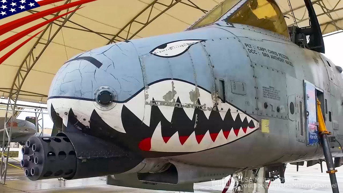 NOT A LIVERY!Did you know there are 3 different animal faces that are painted on the A-10? They are: Shark, Snake, and Hog.