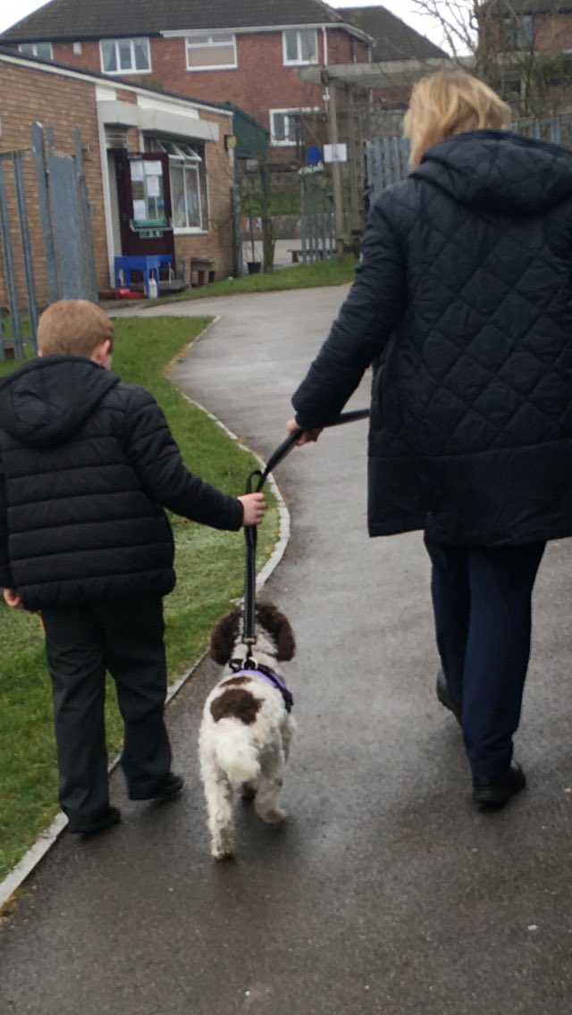 Hope’s Therapy Dogs 🐶 School have room for one more school in their working week. Amazing impact on pupil wellbeing - #dreamteam Contact direct from their Facebook page or contact St Aidan’s school for more details and contacts 🌈💚🙏