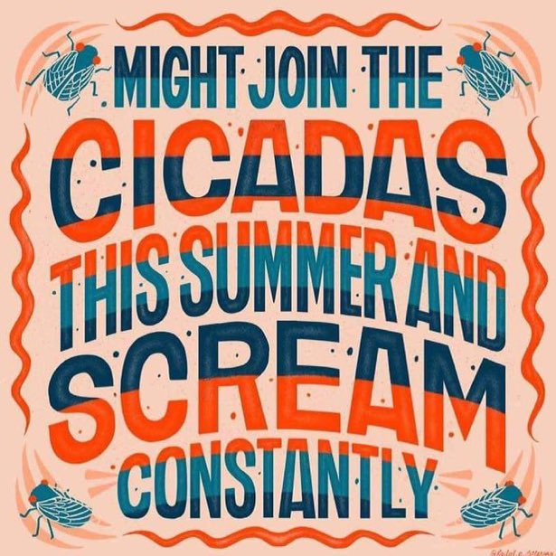 #cicadas summer invasion 2021