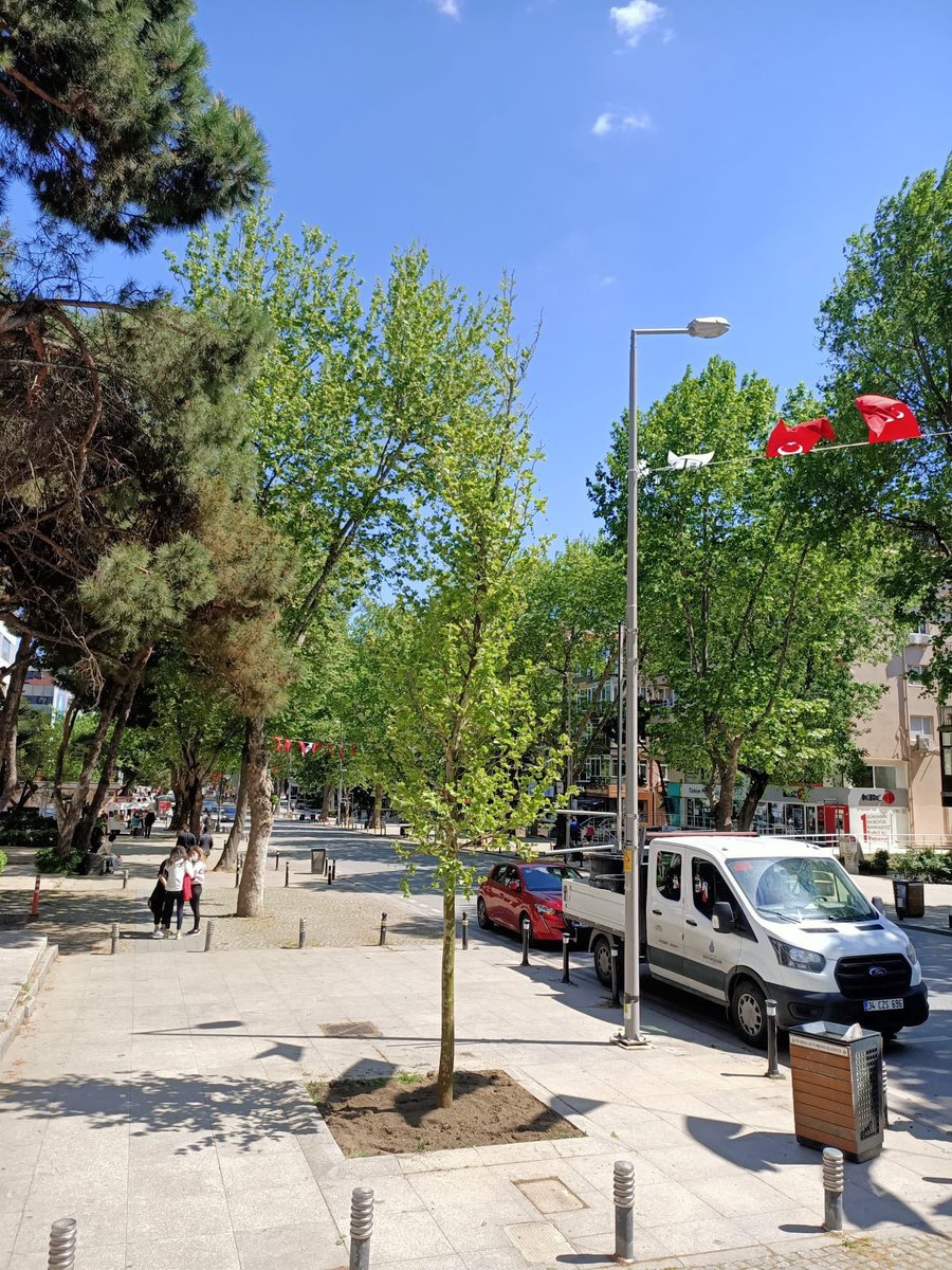 Bağdat Caddesi'nde yıllar önce kesilen ağaçların yerlerine yenileri dikiliyor.