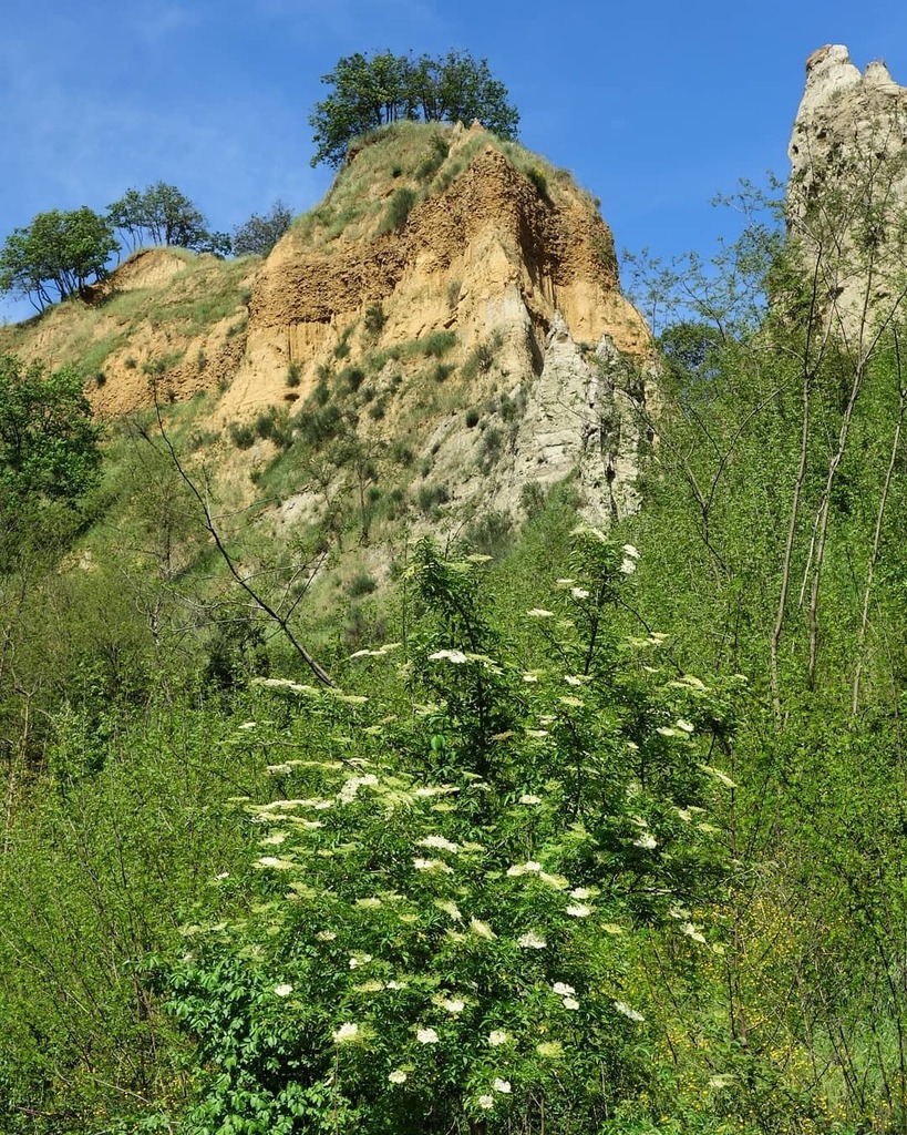 theamazer's tweet photo. I canions del Valdarno.
·
·
·
#landscape #countrysidelife #landscape_lovers #nature #landscapephotography #countrysidewalks #landscapes #countrysideliving #landscape_captures #photography #landscapelovers #countrysidelovers #naturephotography #countrysid… https://t.co/RAesRyL6xm https://t.co/VL131bWy0T