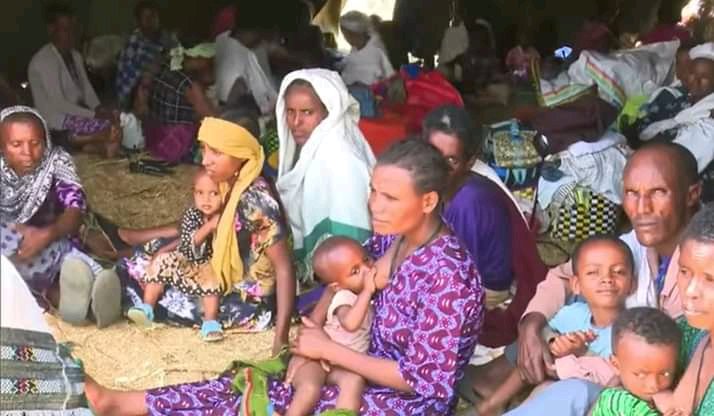 civil_security's tweet photo. As Amhara displaced families faces its worst hunger crisis since late 2020s , International humanitrian org has to provide swift humanitarian assistance before the rainy season.
@UNOCHA
@eu_echo
@USAID
@ECHO_CESAfrica
@antonioguterre
@FilippoGrandi
#SaveAmharas
#AmharaGenocide https://t.co/EX0omc2sVd