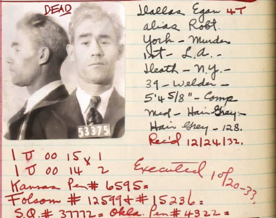 The surviving gang members were arrested. Dallas Egan, confessed shooter and gang leader, interrupted his trial to insist that he had been in sound mind when he committed the crime, but “none of us is entirely sane. You yourself, your honor, probably are not entirely sane."