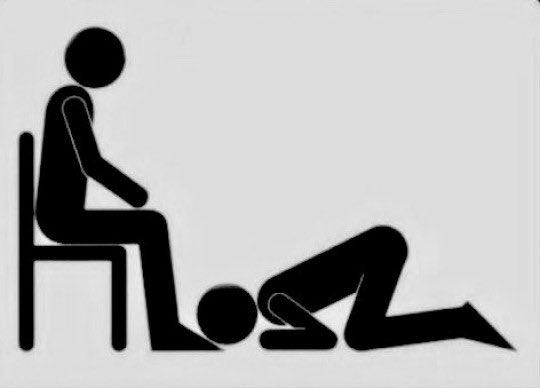 deepthroath3's tweet image. 🦮🐾🐶