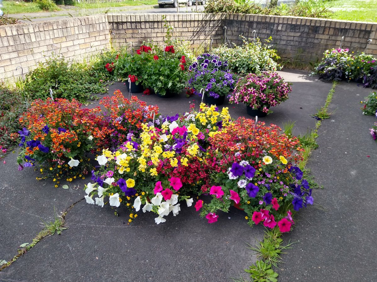 Talent show! Share your amazing talents with us by 5/18. We will have a watch party on 5/20. Check out this link for more information and to enter: forms.gle/mBAkLXzxixJ7Md…