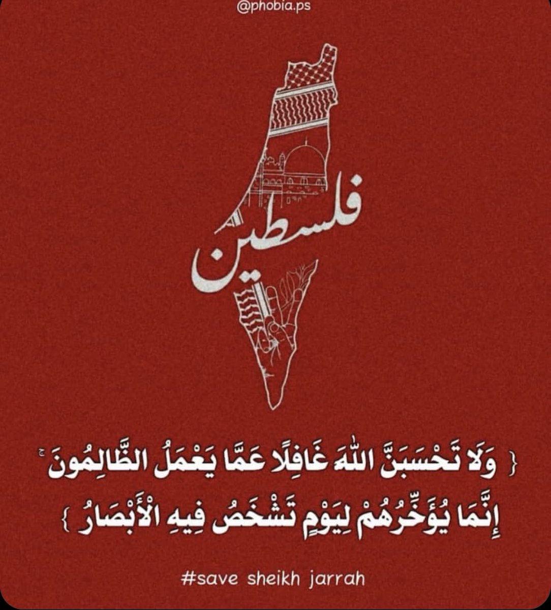 ام زايد المهري (@om_zayed101) on Twitter photo 