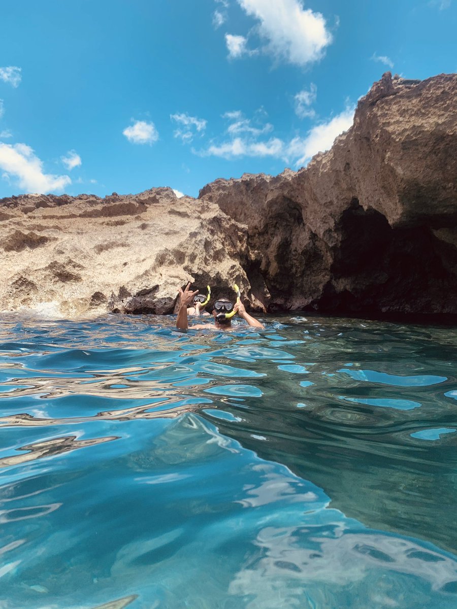 DreFromFuturist's tweet photo. First time snorkeler

10/10 recommend https://t.co/cR8rUF56sF