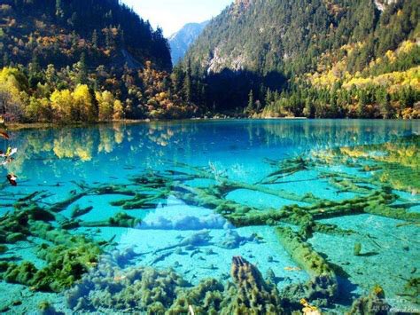 illicit affairsjiuzhaigou five flower lake, china
