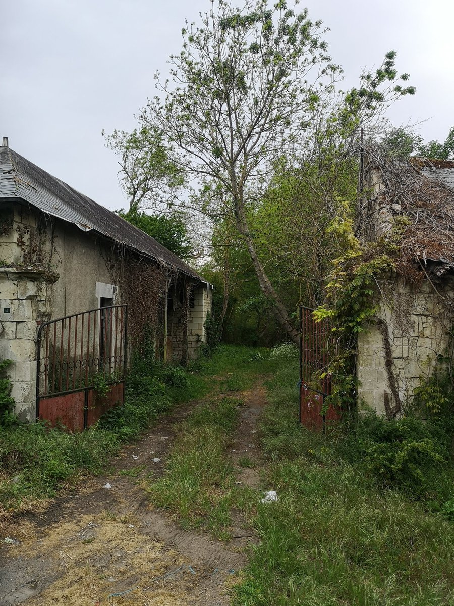 Trespassing in order to look at abandoned farmhouses.