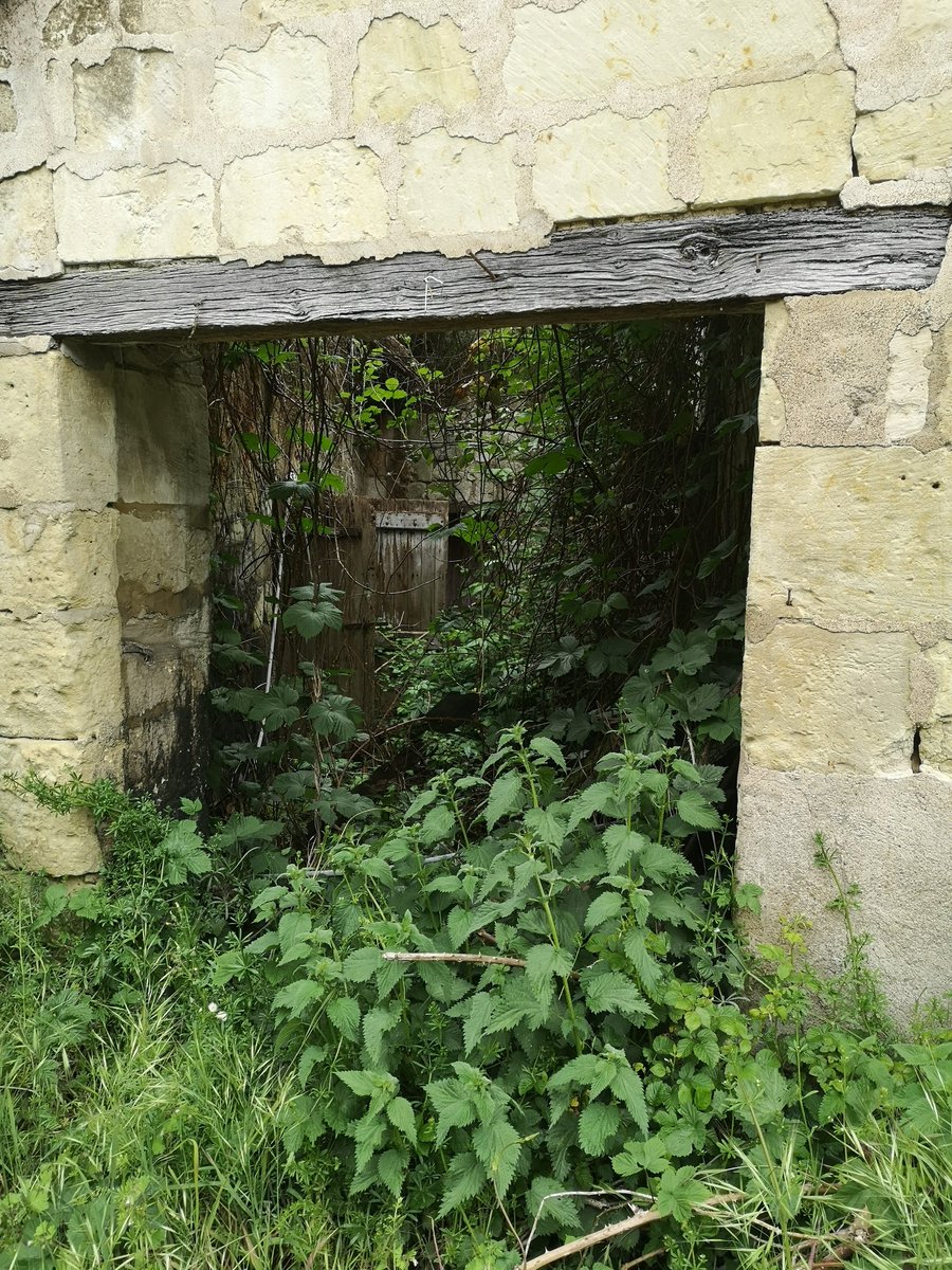 Trespassing in order to look at abandoned farmhouses.