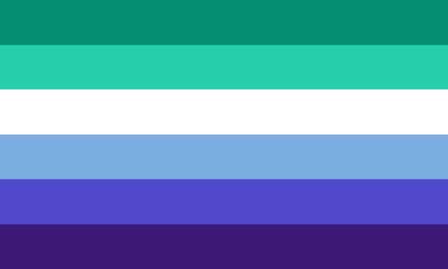 Gay flag         MLM Flags