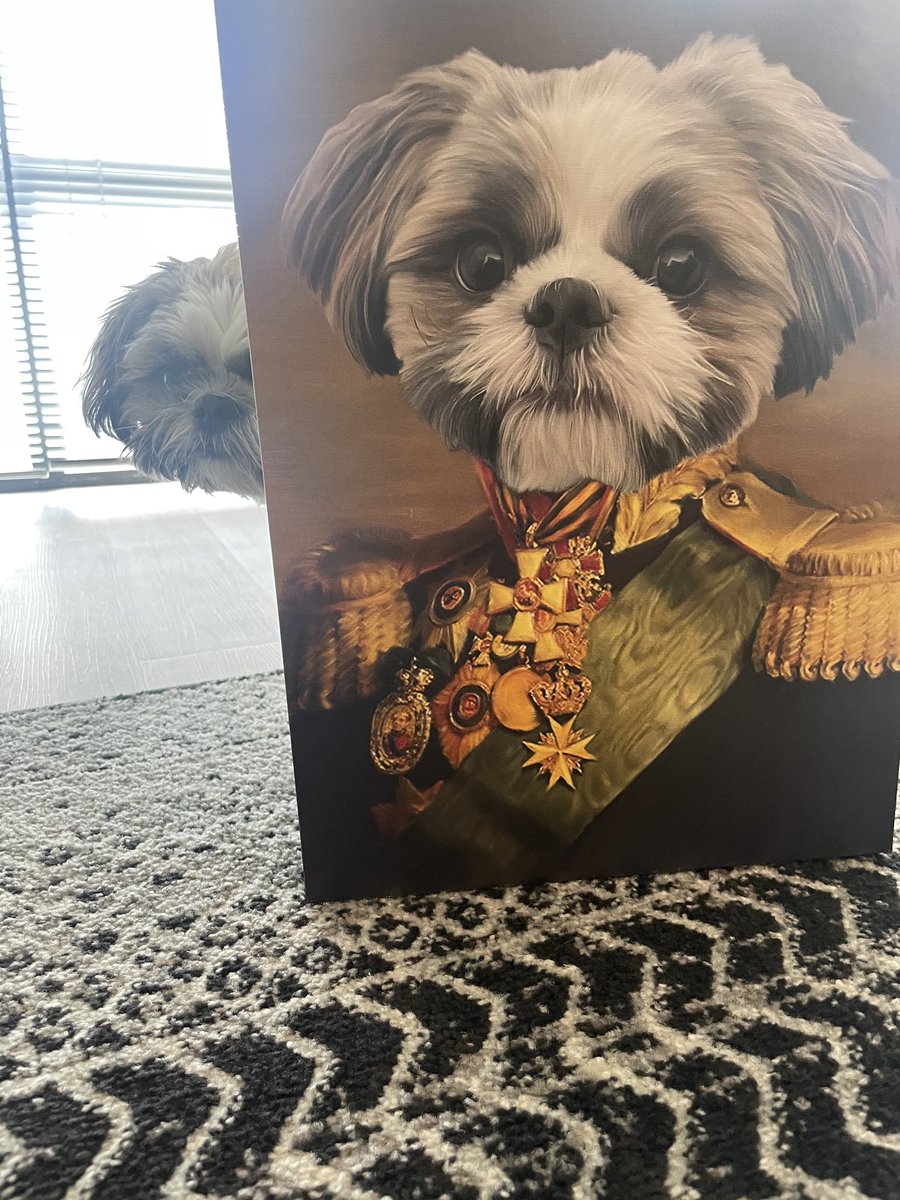 rachmeetsworld's tweet photo. For my sister’s birthday we got her a renaissance painting of her lil puppy and I’m not saying it’s the best money I’ve ever spent but it absolutely is https://t.co/vAd4Ew2MiP