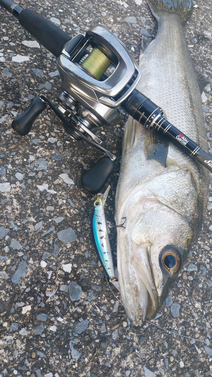 マイクロベイトパターン