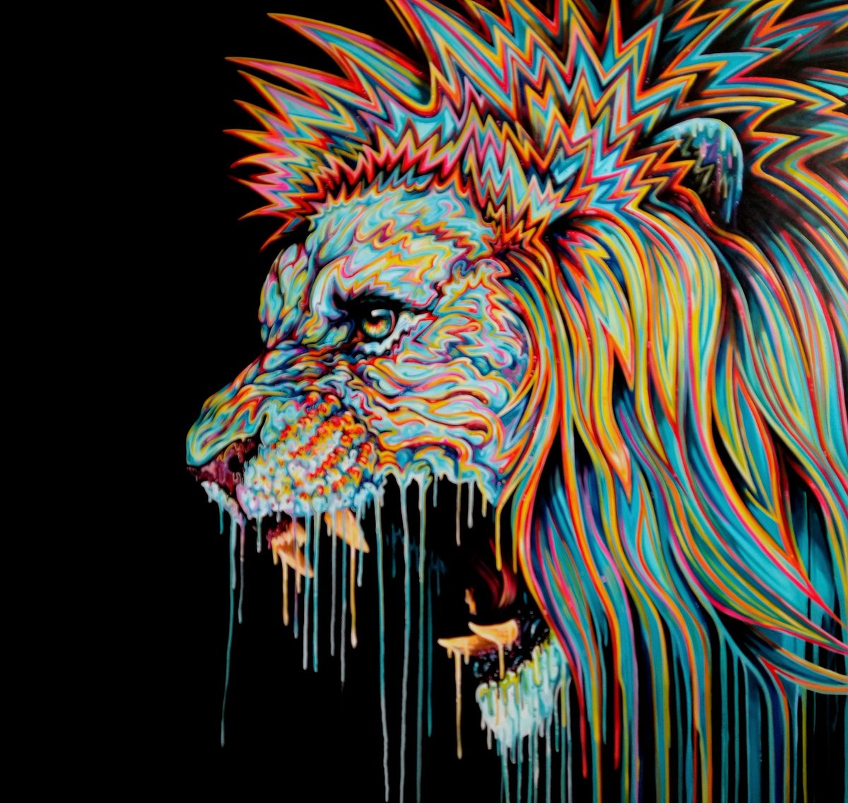 Robert Oxley tweet media