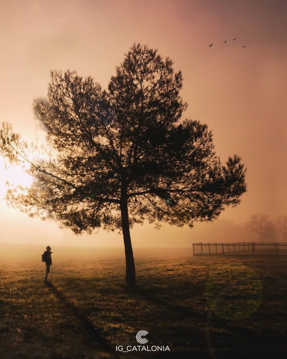 ✪ MENCIÓ DEL DIA ✪
★ AUTOR: <a href="/lophre/">Mohammad Morrison</a> ★
★ Seleccionada per: @pepaluna71 ★ ✪ Destacant la creativitat que ens inspira ✪
👉Segueix <a href="/IG_CATALONIA/">@ig_catalonia</a>
👉Etiqueta #IG_CATALONIA