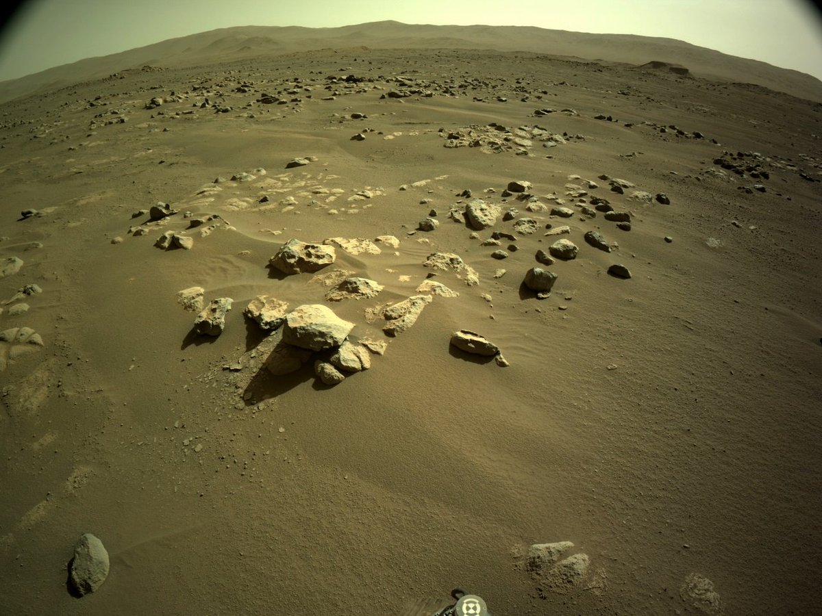 Zum Tagesausklang noch ein Blick zum Mars. Hier drei Bilder des Perseverance-Rovers von heute.