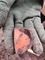 HistArchChester's tweet image. Sian &amp;amp; Sam: Day 7. First day of some (very welcome) rain and we also found some Roman stamped Samian Ware, a late/post medieval pendant and an impressive pig tooth. We also continue to dig the civil war demolition and the medieval ditch #GRP2021 #justkeepdigging @cwacmuseums