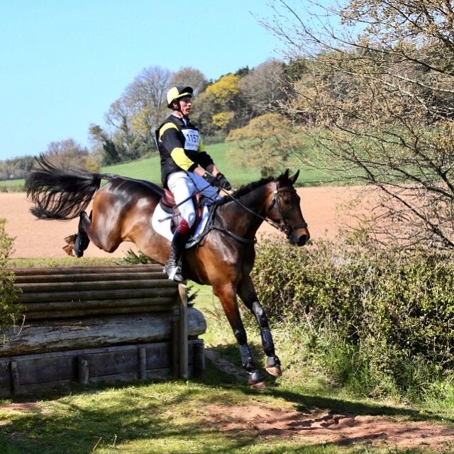 7yr old The Dominator PFB &amp; <a href="/WILLRAWLIN/">Will Rawlin</a> <a href="/BictonArena/">Bicton Arena</a> on their way to a top 10. Surely the most handsome pair on the circuit 🤷🏻‍♀️