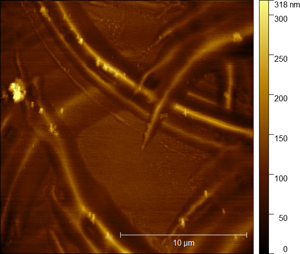 BreakingTaps's tweet photo. AFM IS SO COOL!

Some scans of my selective silicon doping experiments from a while back. Lookit those ripples! Need to pull out my notes and start categorizing the different laser parameters https://t.co/q2JbYXoeO3