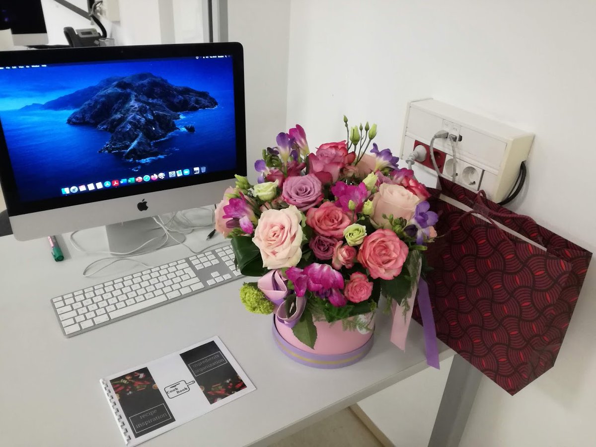 Nina Antičić tweet media