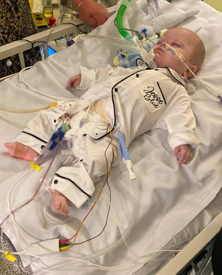 Blue hearts 💙💙 and  prayers 🙏 for Jesse Blue .. come on little man 💪 7 mths old and  all spent in icu..covid has made it so hard for family #warrior <a href="/MrDDyer/">Danny Dyer</a> <a href="/piersmorgan/">Piers Morgan</a> <a href="/StaceySolomon/">Stacey Solomon</a>  <a href="/MrsSOsbourne/">Sharon Osbourne</a> <a href="/McGiff/">Carol McGiffin</a> <a href="/denise_vanouten/">Denise Van Outen ⚡️</a> <a href="/DrRanj/">Ranj Singh</a>