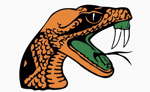 TawfiqThomas's tweet photo. Extremely Blessed to receive my first HBCU from Florida A&amp;M University🟢🟠 #rattlers🐍 @spadyj @RivalsWoody @RivalsChris @Rivals @247Sports @FAMUAthletics @CoreNasir @TheReal_Lil26 @Cowboycoach2016 @jstreet89 @SWiltfong247 https://t.co/sXvQXnB8Ku