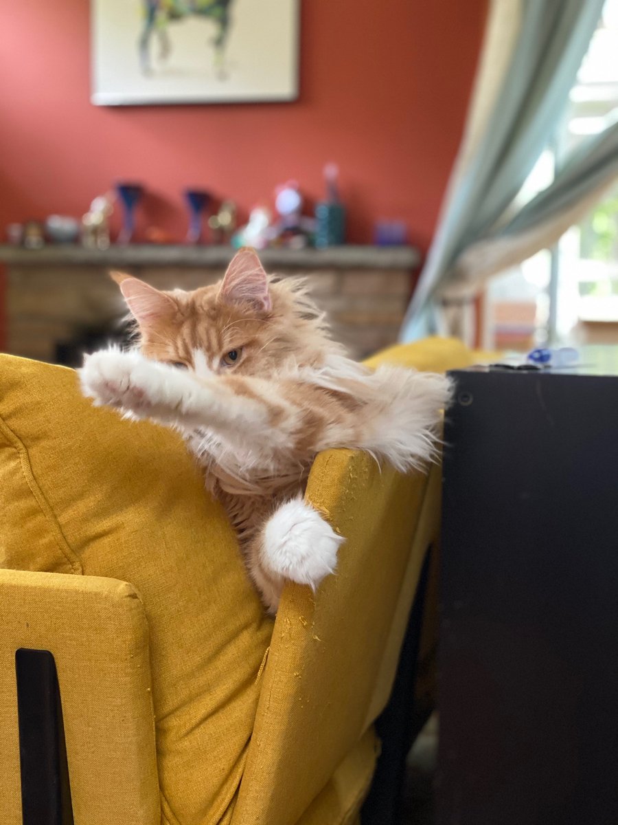 IF YOU DO NOT EAT LUNCH WITH MAX, MAX WILL GRAB YOUR FACE, MOTHER