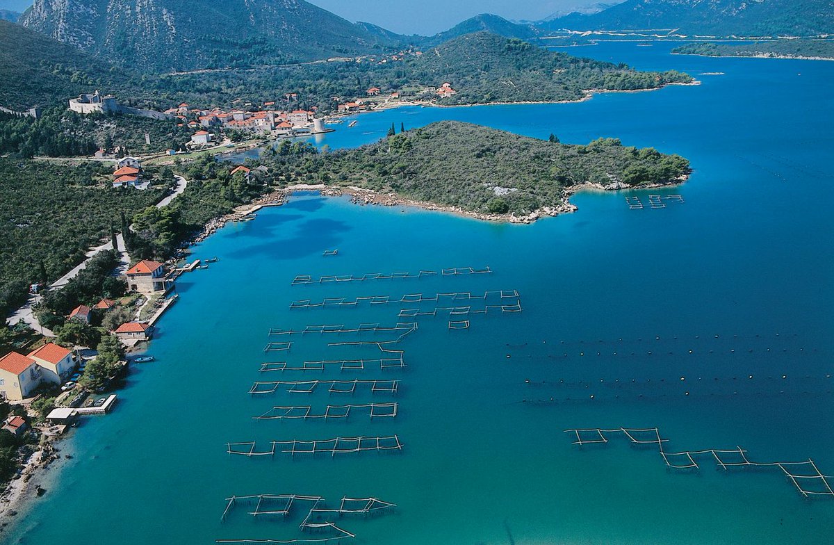 PP “Sea and Karst” with the Public Institution for the management of protected natural areas of Dubrovnik-Neretva county, is organizing the third webinar, on Thursday 29.4.2021 at 10:00 a.m. via Zoom. Join us by clicking the link: moreikrs.hr/novosti-detalj…