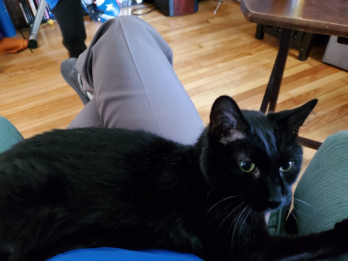 ProfTags's tweet image. Sorry, students, I didn't finish grading because #KittyTA wouldn't allow it. Also, I don't want to hear anymore. But mostly Gramsci