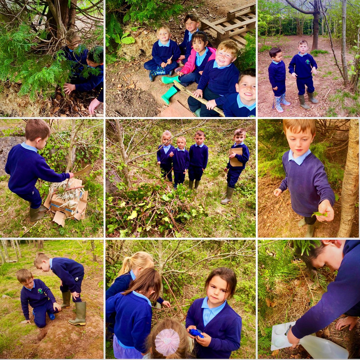 Monnow_Primary's tweet photo. #DosbarthJet spent this afternoon building and camouflaging hedgehog homes in Forest School 🌳 ready for #HedgehogAwarenessWeek #EthicallyInformedCitizens #EAS_FoundationP https://t.co/24jIiKqcJn