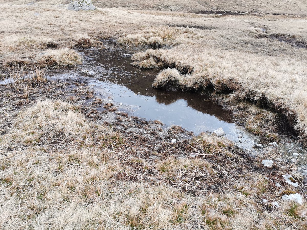 Peat cutting was common in the  #LakeDistrict. It was harvested in vast quantities as fuel for both domestic and industrial use. Evidence of peat cutting in Sale Pot is in the form cut peat edges like this one.