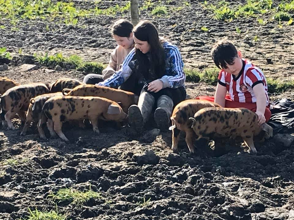 OxfordPig's tweet photo. Are you enjoying the sunshine? The #OSBPigGroup are! come join us on FB https://t.co/0wVal446uc
#Pigslife #OSBPigGroup #Happypigs #goodlife #countrylife #countryliving #Smallholderslife #pigfun #GoNative https://t.co/XitxvH5xZ3