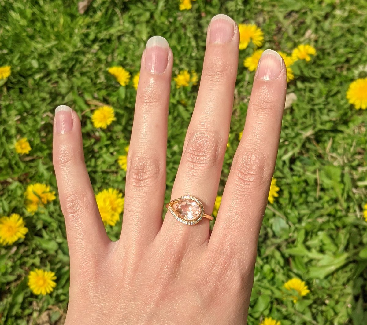 hightigress's tweet image. 🌞🌼🪐🐝 good vibes ✨🌻🕯️☀️