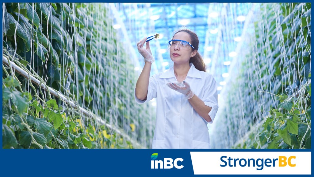 We welcome Minister <a href="/KahlonRav/">Ravi Kahlon</a> announcement of #InBC: a first-of-its-kind $500M strategic investment fund with a mission to drive innovation in BC.

#InBC will help innovative BC businesses to grow and retain our highly-skilled graduate student talent.

bit.ly/3xw5Xd9