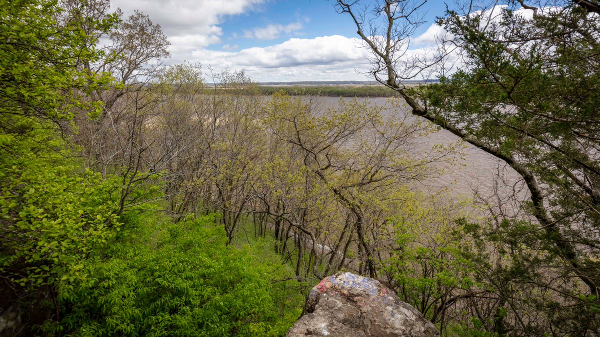rschroeter23's tweet photo. View of the #MississippiRiver from #BeeTreePark. Took this about 2 minutes before I slid down a muddy trail and rolled my ankle a couple weeks ago. 😖 #hiking is cancelled for a few weeks. #setbackssuck https://t.co/ehFvcr9pDi