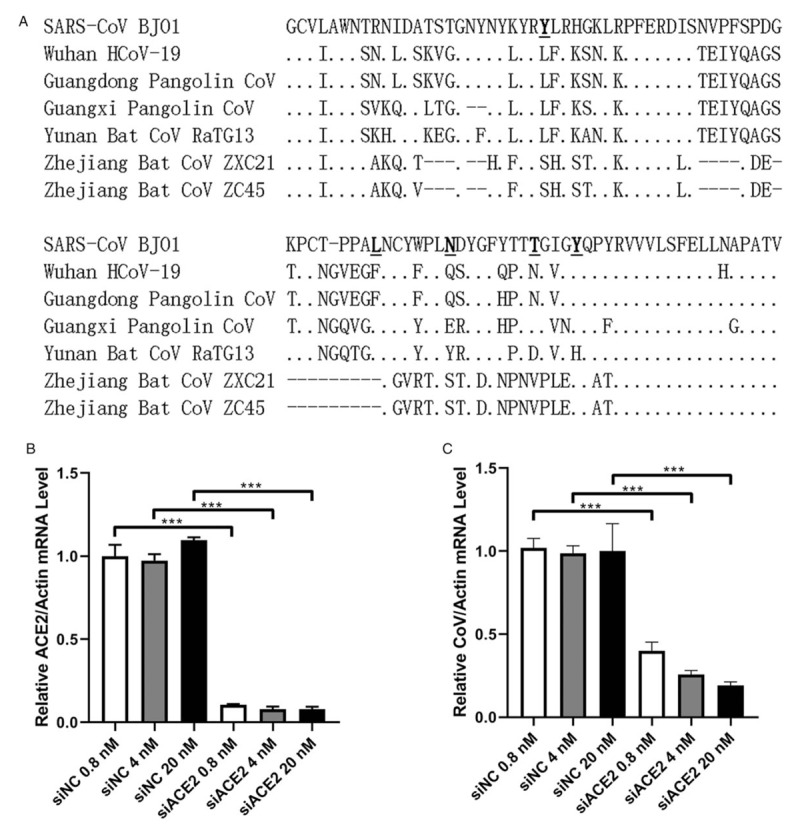 "Our results strongly suggest that cepharanthine (CEP) is a wide-spectrum inhibitor of pan-betacoronavirus, and further study of CEP for treatment of 2019-nCoV infection is warranted" https://www.ncbi.nlm.nih.gov/pmc/articles/PMC7147283/