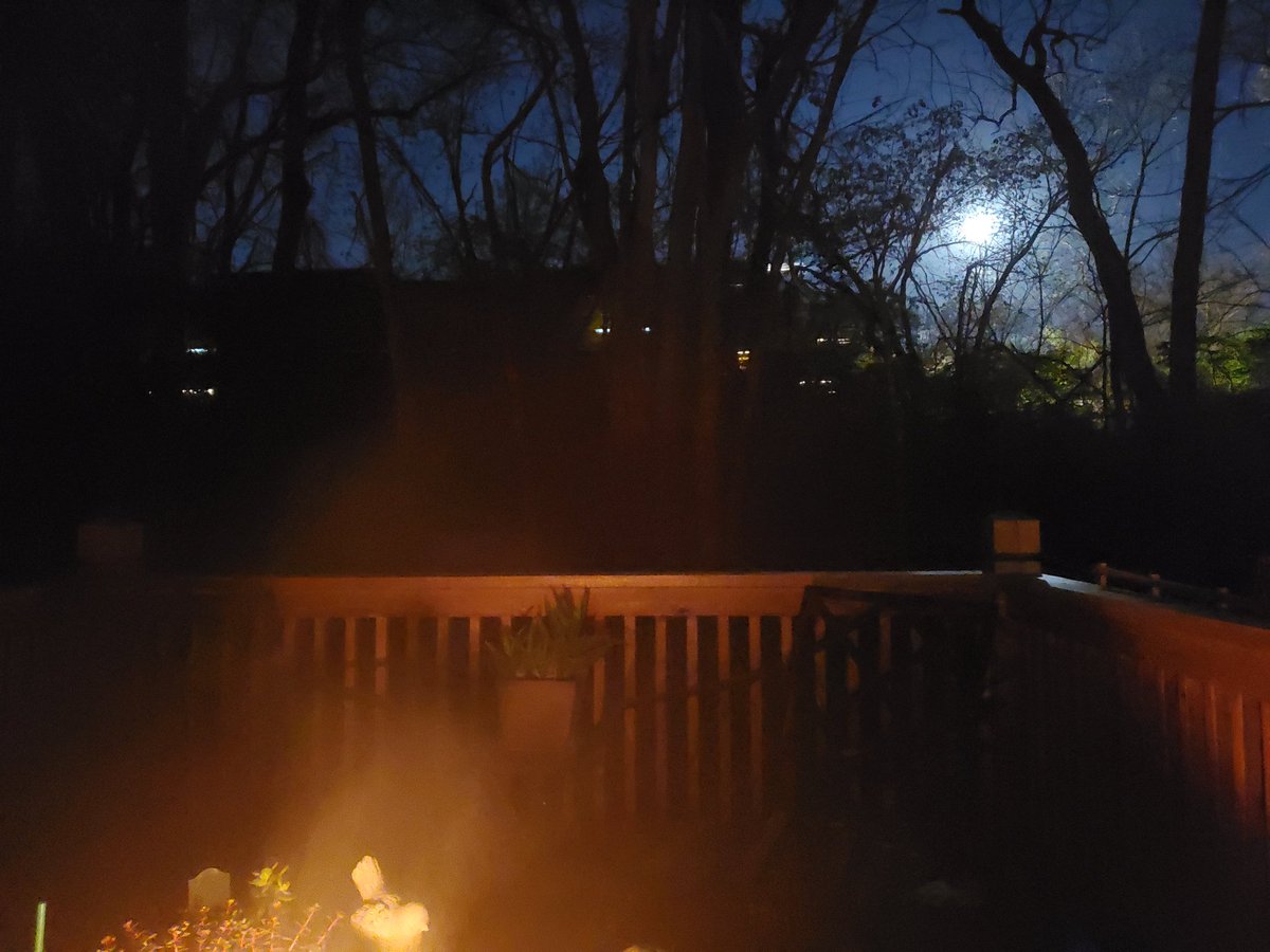 PapaSweets tweet media