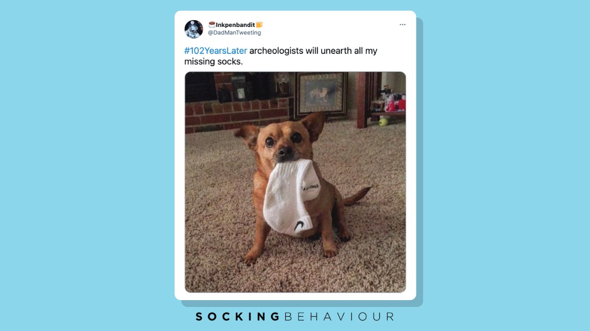 SockingBehavior's tweet image. Will socks be the new dinosaurs? 🦕😲