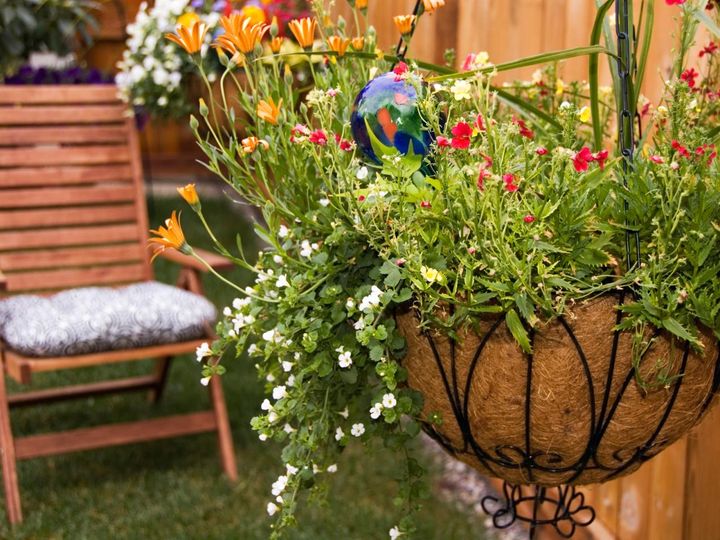 Just What Makes That Little Old Ant Pick A Plant And Grow High Hopes At The Arlington Heights Garden Club Plant Sale On June 5th From 7 30 Am To 12 30 Pm At