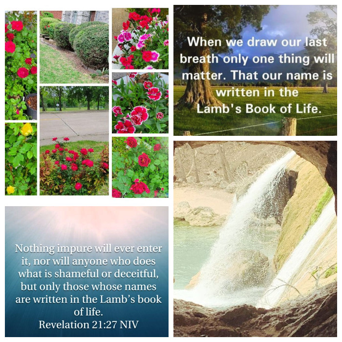 SumaPhilip3's tweet photo. Have a Blessed day buddies 😍🙏 https://t.co/UukxNwxjD9