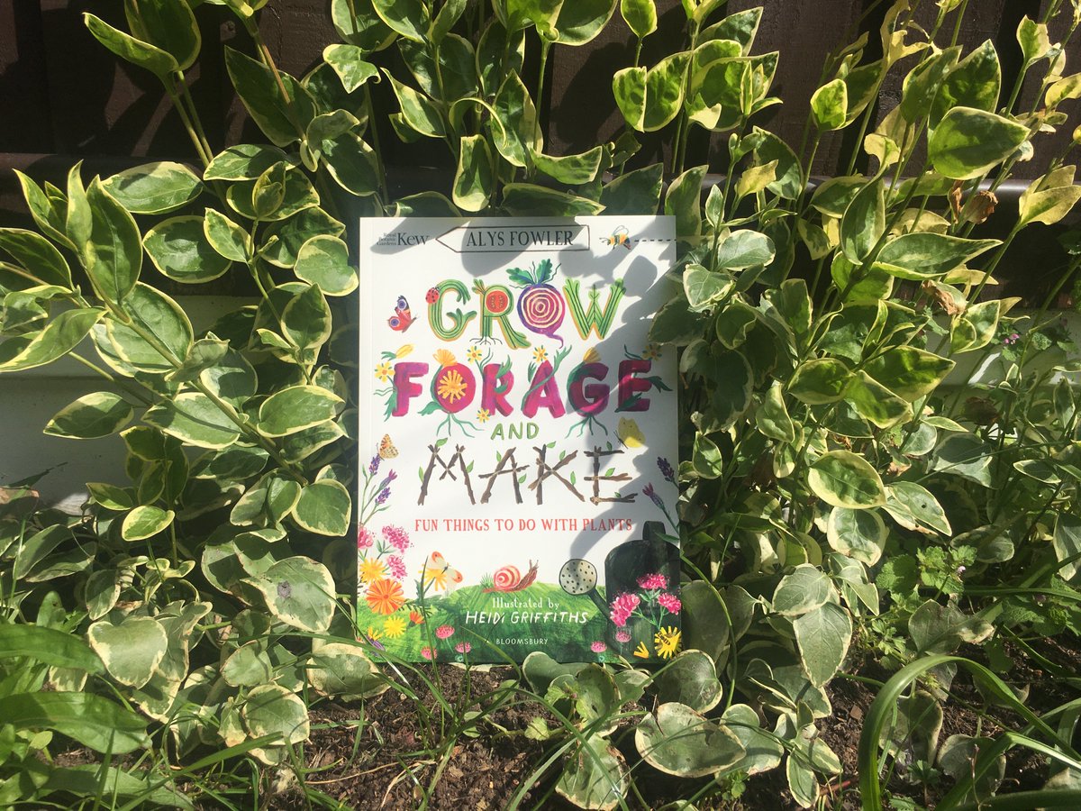 Grow, Forage and Make written by  @AlysFowler and illustrated by  @heidi_G_Artist contains over 30 fun and easy to follow growing projects, foraging activities, experiments and arts and crafts activities. Published by  @KidsBloomsbury in partnership with  @kewgardens, it's out now!