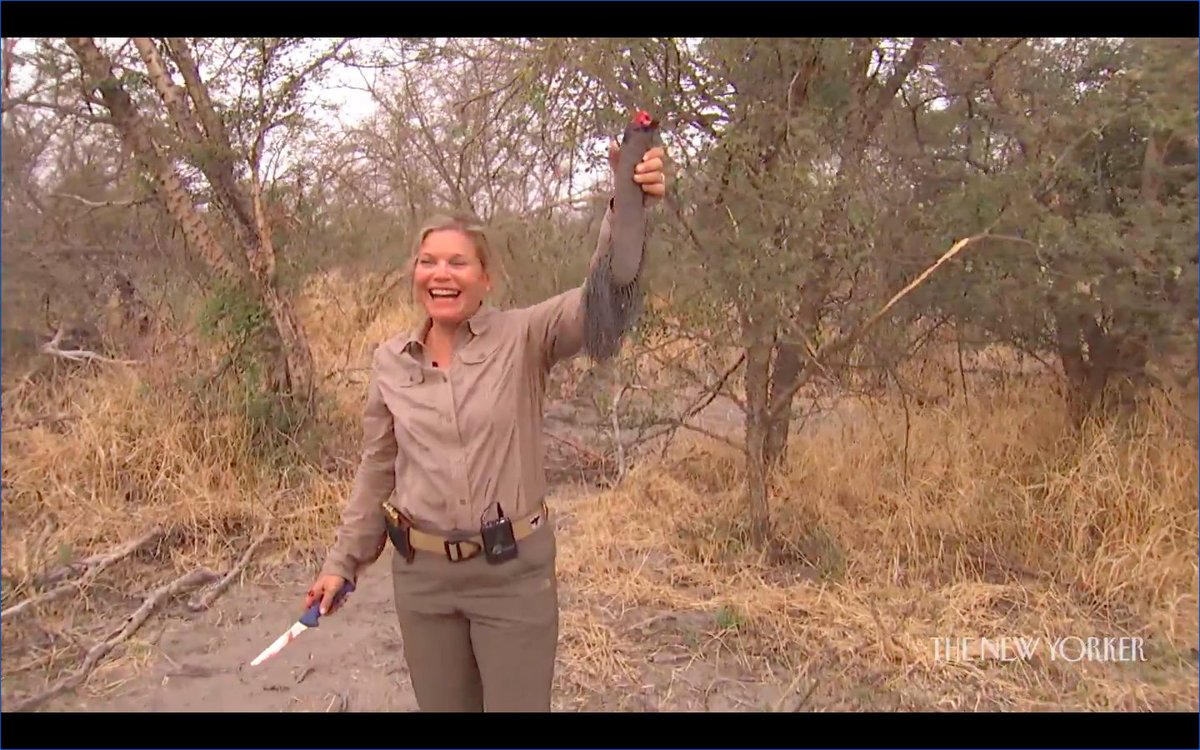 3/ Later that day, Susan proves to be a better shot, felling an older bull elephant in one pull of the trigger. “That was amazing. I feel great,” she says, just before cutting off the animal’s tail and showing it off to the camera.