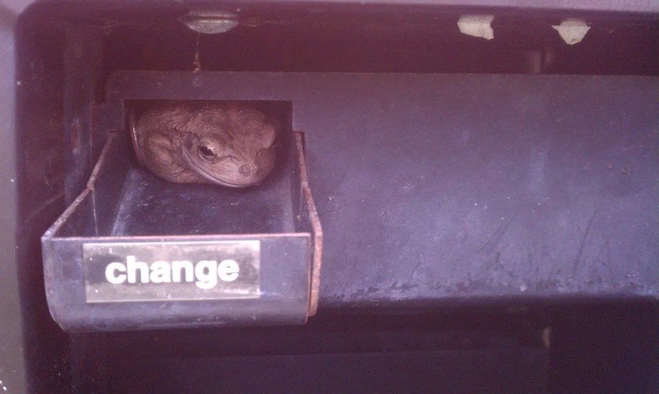 CompUnrelatable's tweet image. #relatable #memes2021